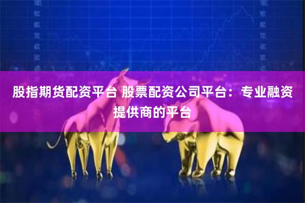 股指期货配资平台 股票配资公司平台：专业融资提供商的平台