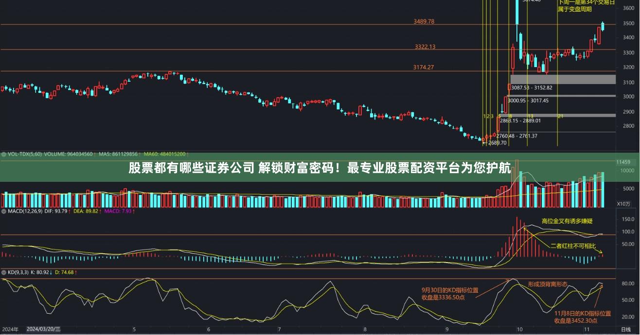 股票都有哪些证券公司 解锁财富密码！最专业股票配资平台为您护航