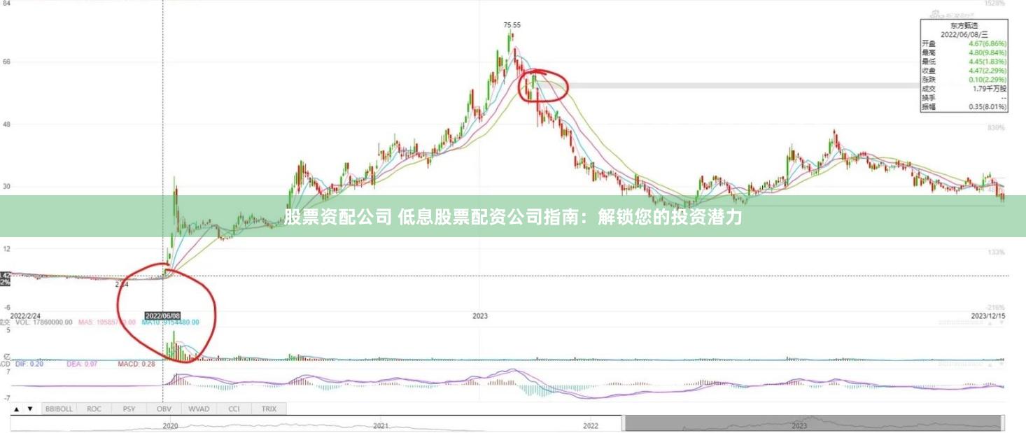 股票资配公司 低息股票配资公司指南：解锁您的投资潜力