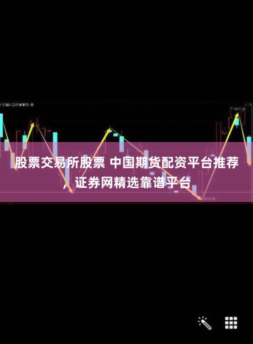 股票交易所股票 中国期货配资平台推荐，证券网精选靠谱平台