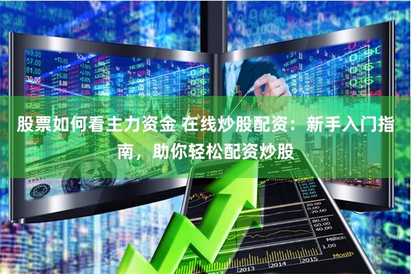 股票如何看主力资金 在线炒股配资：新手入门指南，助你轻松配资炒股