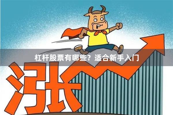 杠杆股票有哪些？适合新手入门
