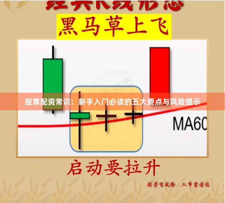 股票配资常识：新手入门必读的五大要点与风险提示